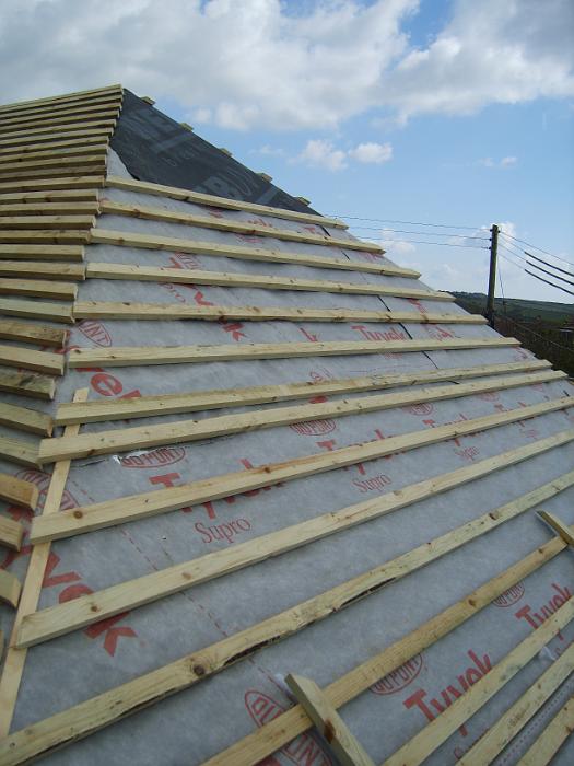 8 Roof Windows & Doors (17)